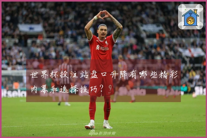 世界杯投注站盘口升降有哪些精彩内幕和选择技巧？