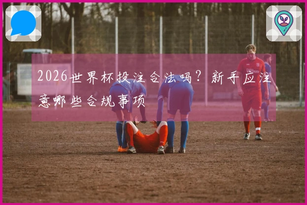 2026世界杯投注合法吗?新手应注意哪些合规事项