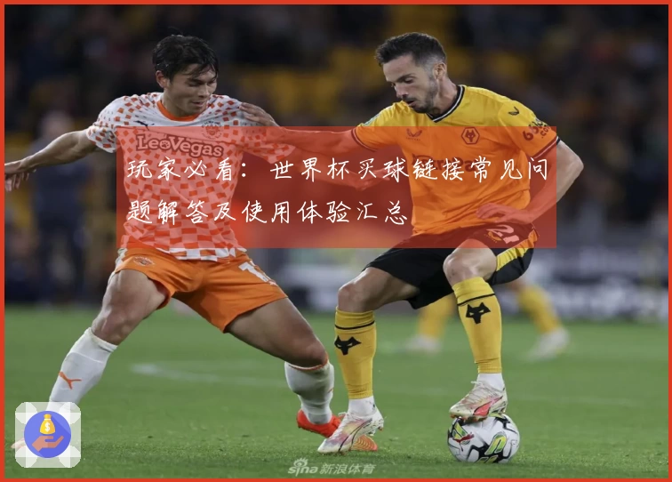 玩家必看：世界杯买球链接常见问题解答及使用体验汇总