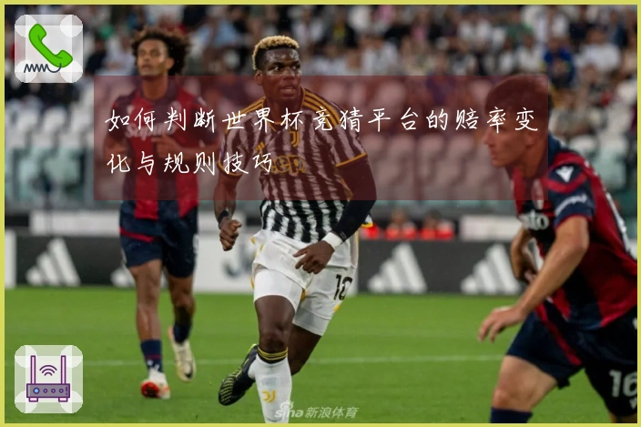 如何判断世界杯竞猜平台的赔率变化与规则技巧
