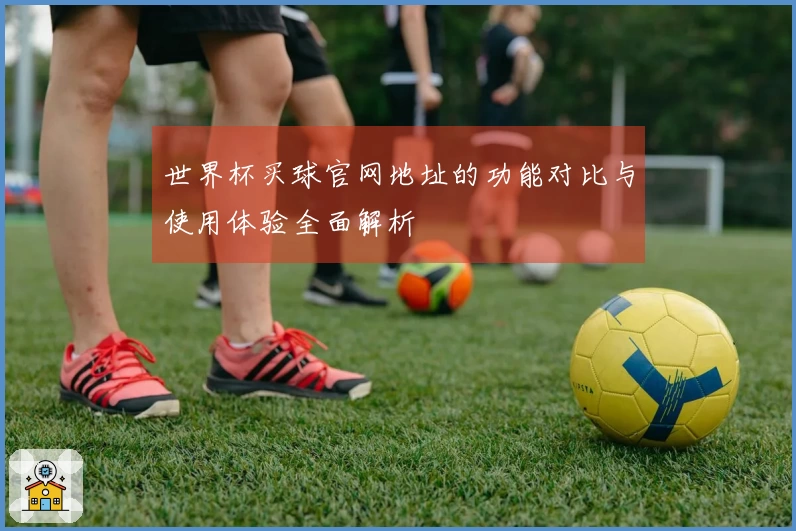 世界杯买球官网地址的功能对比与使用体验全面解析