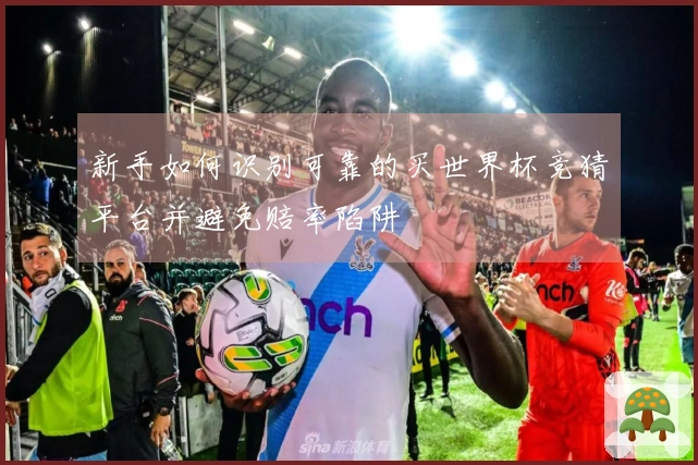 新手如何识别可靠的买世界杯竞猜平台并避免赔率陷阱